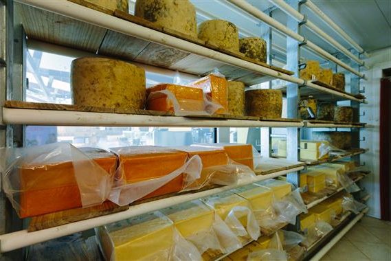 Pure Artisan Cheese on Shelves