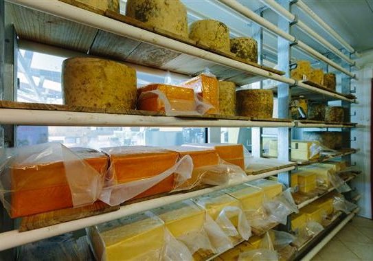 Pure Artisan Cheese on Shelves